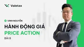 B&agrave;i 8 &ndash; Cấp bậc 2: H&agrave;nh động gi&aacute; (Price Action)