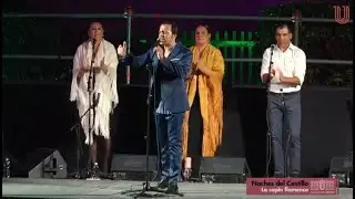 Noches del Castillo La Copla Flamenca