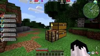 Day 3 pixelmon: caught 2 shinies LETS GOO!!!
