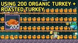 Using 200 Organic Turkey + Roasted Turkey! What did I Get?!?!|GROWTOPIA