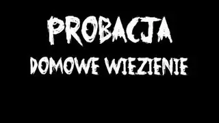 Probacja - Domowe więzienie (2013)