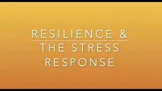 Understand Resilience and the Human Stress Response