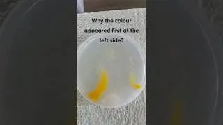 One reaction🧪, few questions🧑&zwj;🔬 #youtubeshorts #chemistry #science #easyscienceexperiment