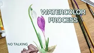 🎨 Ботаническая арт-медитация: Крокусы и подснежники акварелью | Расслабляющая музыка