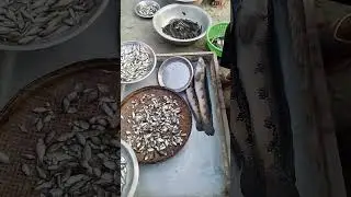 My Village Fish Market #shorts