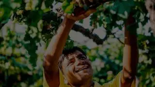 Explore the Chandon India Winery, Dindori, Nashik
