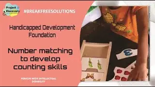Number matching to develop counting skills|Breakfreesolutions