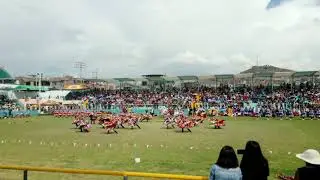 Danza 