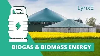 Biogas and Biomass Energy | Explained | Engineering Tutorials | LynxE Learning