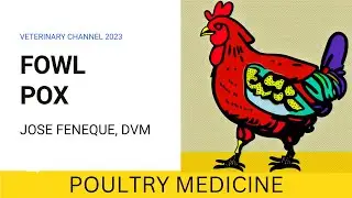 WHAT IS FOWL POX?