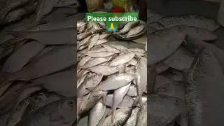 Selling fish in the fish market #shorts #fish #sell fish