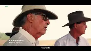 Sindi Castilho - Entrega de resultados