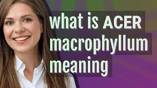 Acer macrophyllum | meaning of Acer macrophyllum