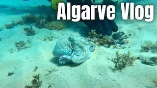 A day in the Algarve | Toll System, Diving, Praia da Luz