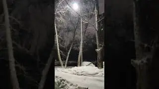 Snow in Kazakhstan