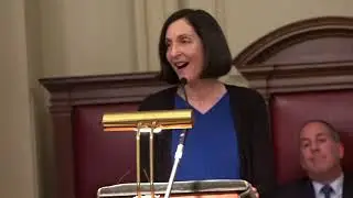 Ruthanne Fuller Farewell Speech 18Dec2017