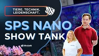 Nano reef with a wow factor &ndash; Our 76L Nano SPS display tank presented by Luca I Nano Aquarium