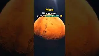 What If Humans Disappeared from Earth? 😨🌎