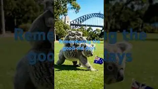 Australia Day #shorts #australia day #good old days gone