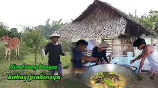 Creamy Ginataang Bangus/Home Style Cooking/Buhay probinsya