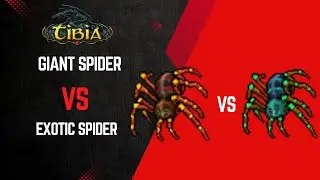 🕷️ 20 Giant Spiders vs 20 Exotic Cave Spiders 🕷️🌴 | Tibia Versus ⚔️