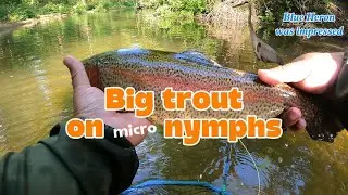 Caught a nice one on a micro-Perdigon nymph. #troutfishing #fishing #flyfishing #nymphfishing