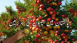 Pakistan&rsquo;s Last Village Apple Garden | Gilgit Baltistan