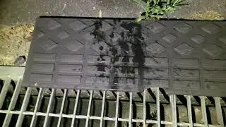 犬の散歩による排泄被害対応してみました🐕💦💩