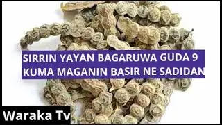 MAGANIN BASIRR SADIDAN DA YAYAN BAGARUWA