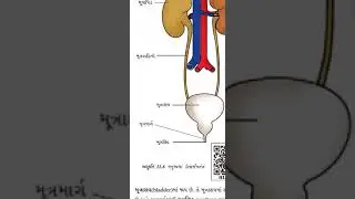 STD 7 SCIENCE (Gujarati medium) chapter 11 (part-3)