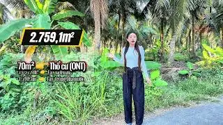 [VƯỜN DỪA]🌴2,7 Công-11năm💢50m mặt tiền đường nhựa🛵5 -10 phút tiếp cận trung tâm Tiểu Cần♨️ Có thổ cư