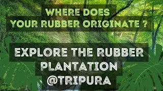 “The Drip of Fortune-Secrets of the Rubber Forest”