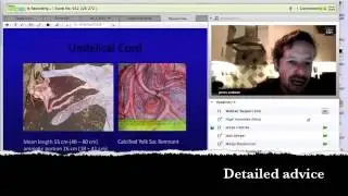 WebLeC James Crabtree: Post partum Mares