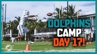 Miami Dolphins 2025 Training Camp Day 17: Live At Camp!