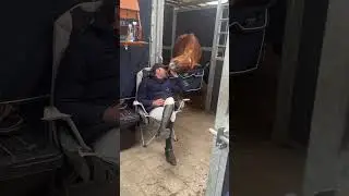 Heartwarming Bond Between Man and Horse