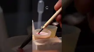 Behind The Scenes: Telescopic Crown in The Lab