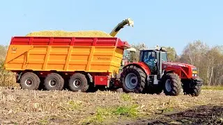 Mais hakselen Mart Munsters Deurne | KRONE BIGX 700 Massey Ferguson 8470 7495 Veenhuis USA Equipment