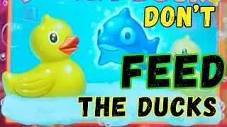 The Quack That Could Make You Rich