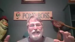 Facebook Live 11.2.2022- Answering your pond questions