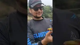 Snakehead Fishing Murrel Fishing #fishing #snakeheadfish #fishingvideo #fishingtips #fishinglife