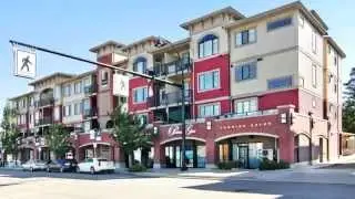 #203 11882 226th Street Maple Ridge BC - Real Estate Virtual Tour - Sigrid Wilcox