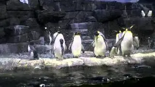 CLIP0128