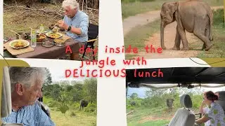 Yala safari With lunch #wildlife #elephant #adventure #familyfriendlytravel #srilankancuisine 