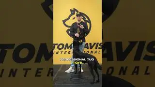 How to Use a Tug Toy: The Best Reward for Non-Food Motivated Dogs