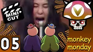 [Vinesauce] Joel - Monkey Mondays: Donkey Kong Country 2 Highlights ( Part 5 )