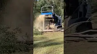 🔵 SSQ160 Мульчер лесной OSMA на мини-погрузчике Bobcat T590B