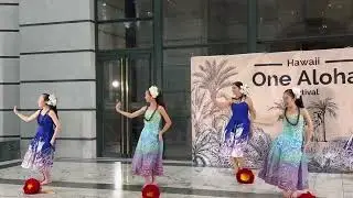 ヘレイアロハ