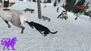 WolfWilds episode 26:  Alaskis Daughter Moon doesn't hunt on important hunt!