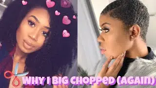 WHY I BIG CHOPPED MY NATURAL HAIR AGAIN...+ NEW HAIR GOALS 2020 | Natural Hair Care