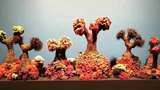 Museum of Art and Design